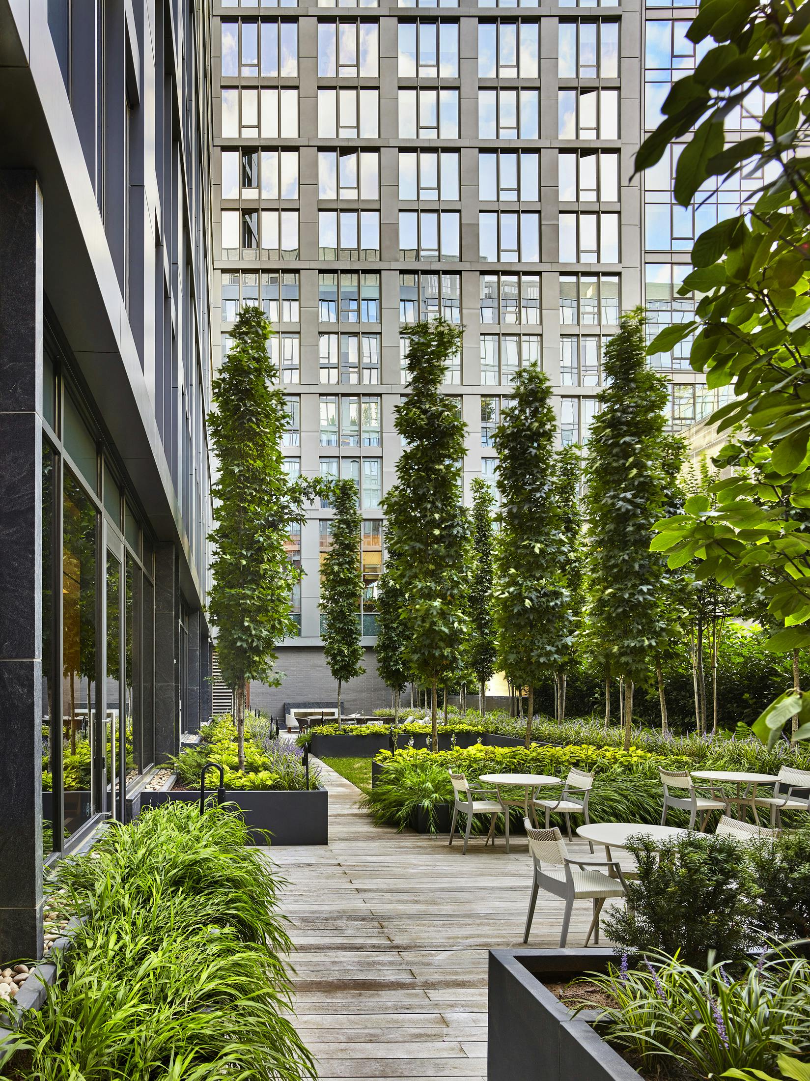 丨美国华盛顿丨Morris Adjmi Architects-13