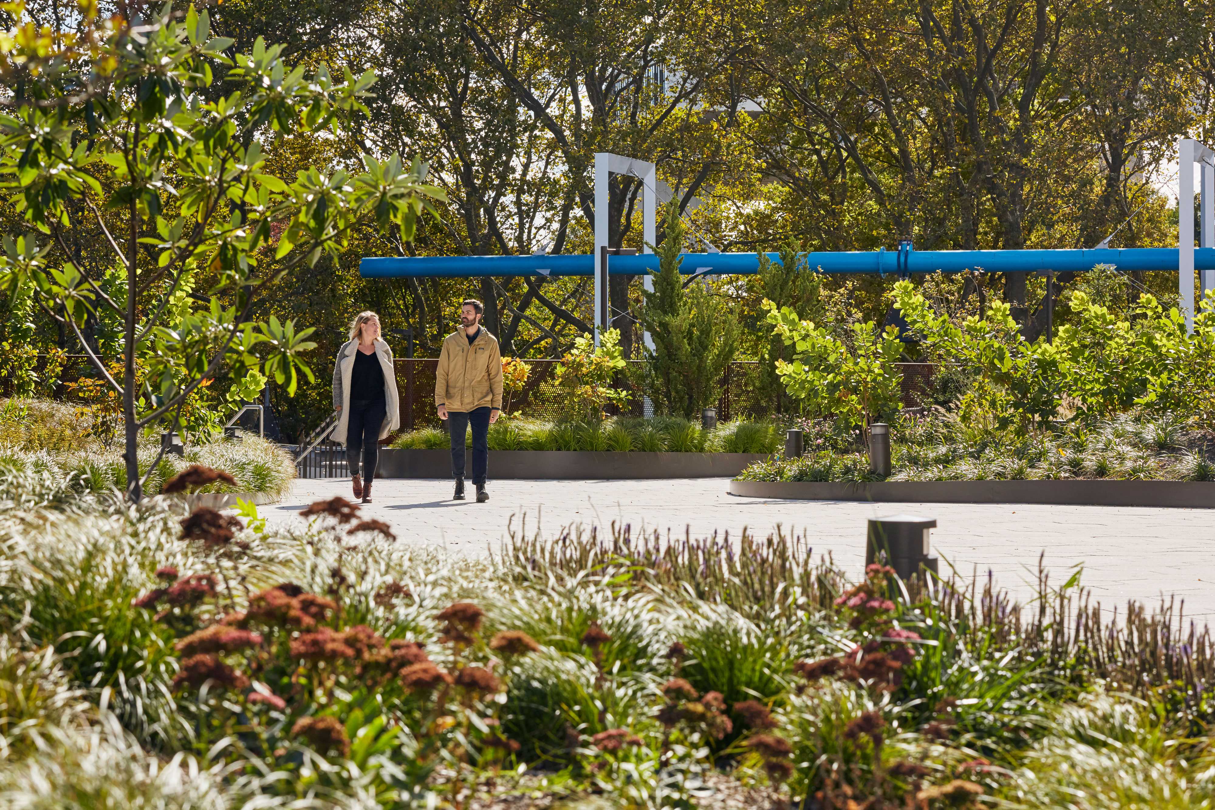 hall of science discovery terrace-10