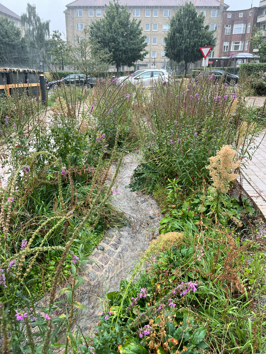 格罗宁根 比瑟公园丨丹麦哥本哈根丨SLA-57