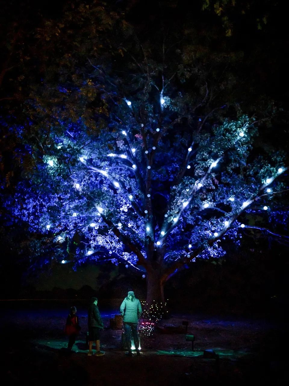 沉浸式的数字艺术之旅——Moment Factory 全球惊艳项目盘点-86