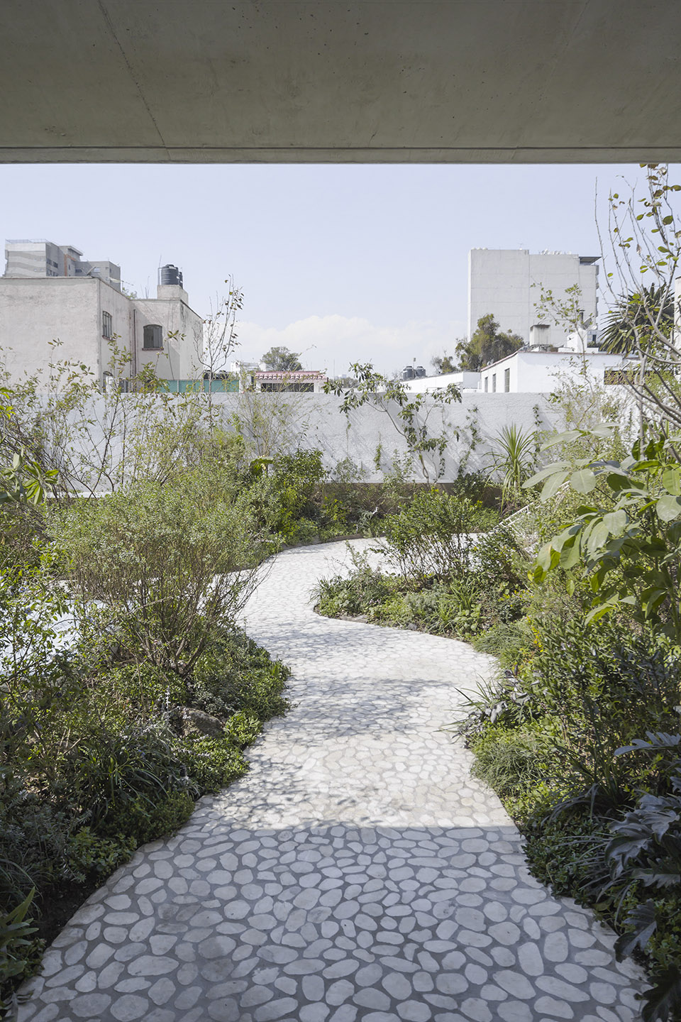 墨西哥城空中花园，Casa Verne / Zeller & Moye-50