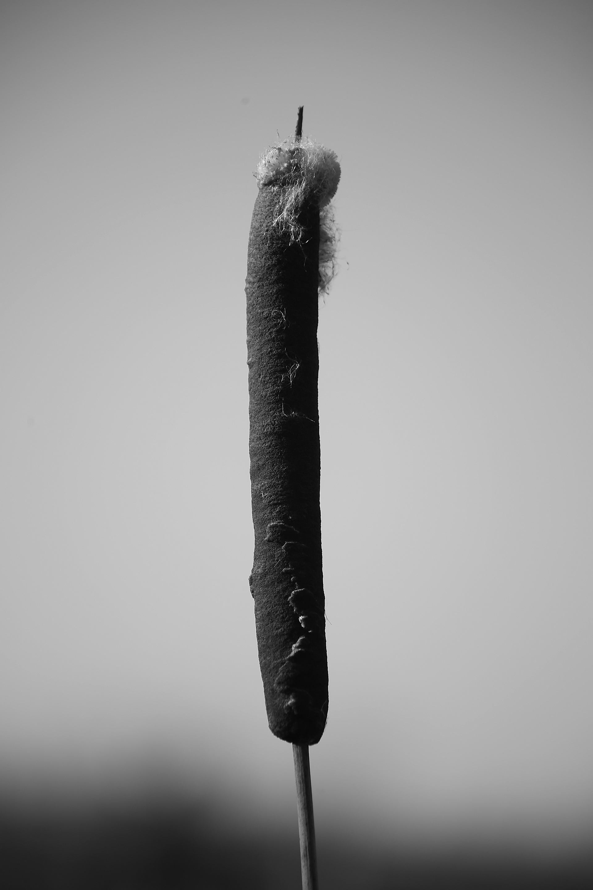 A Winter's Day（冬日）-18