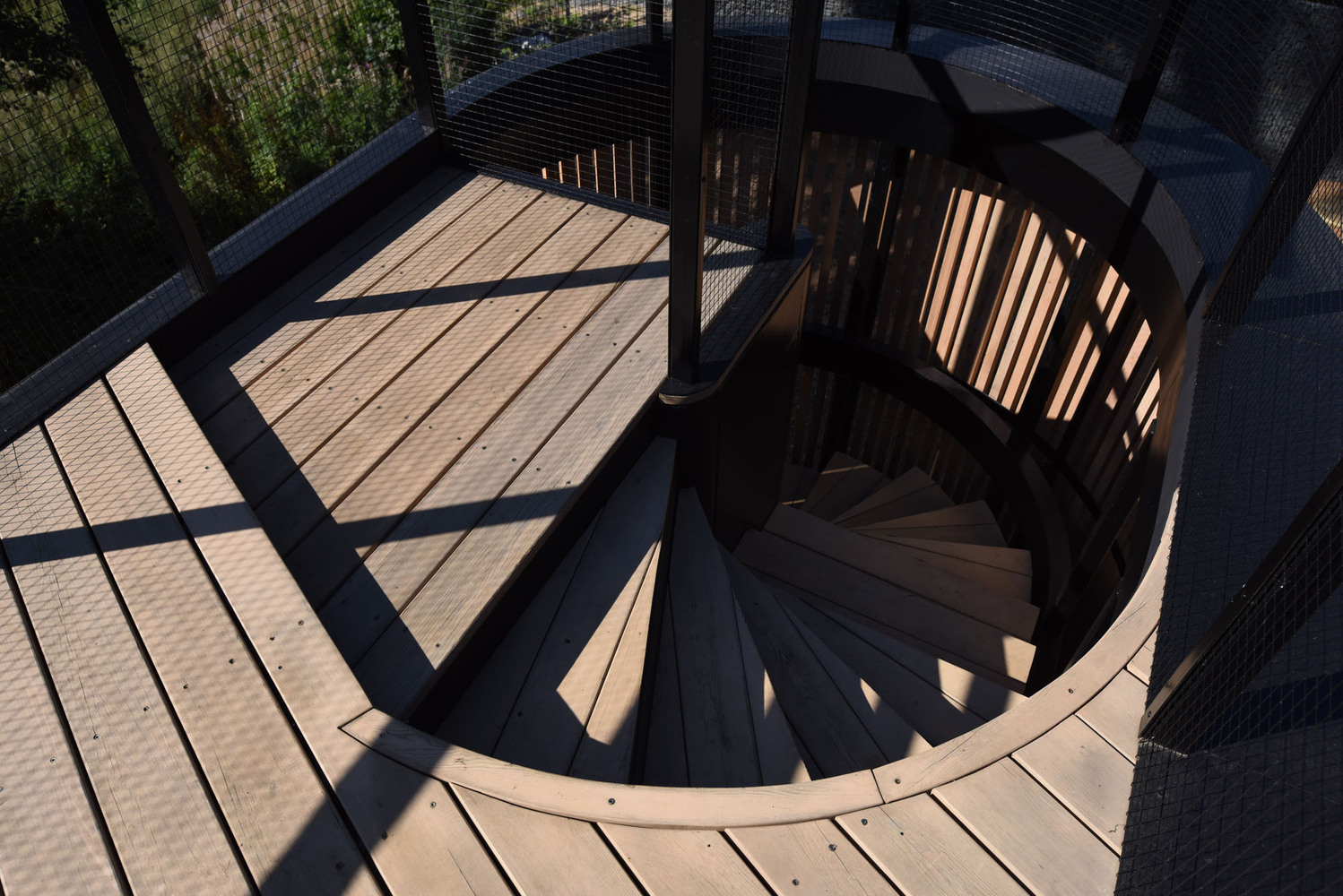 俄罗斯莫斯科 Oblast 老松树环绕的生态家园-84