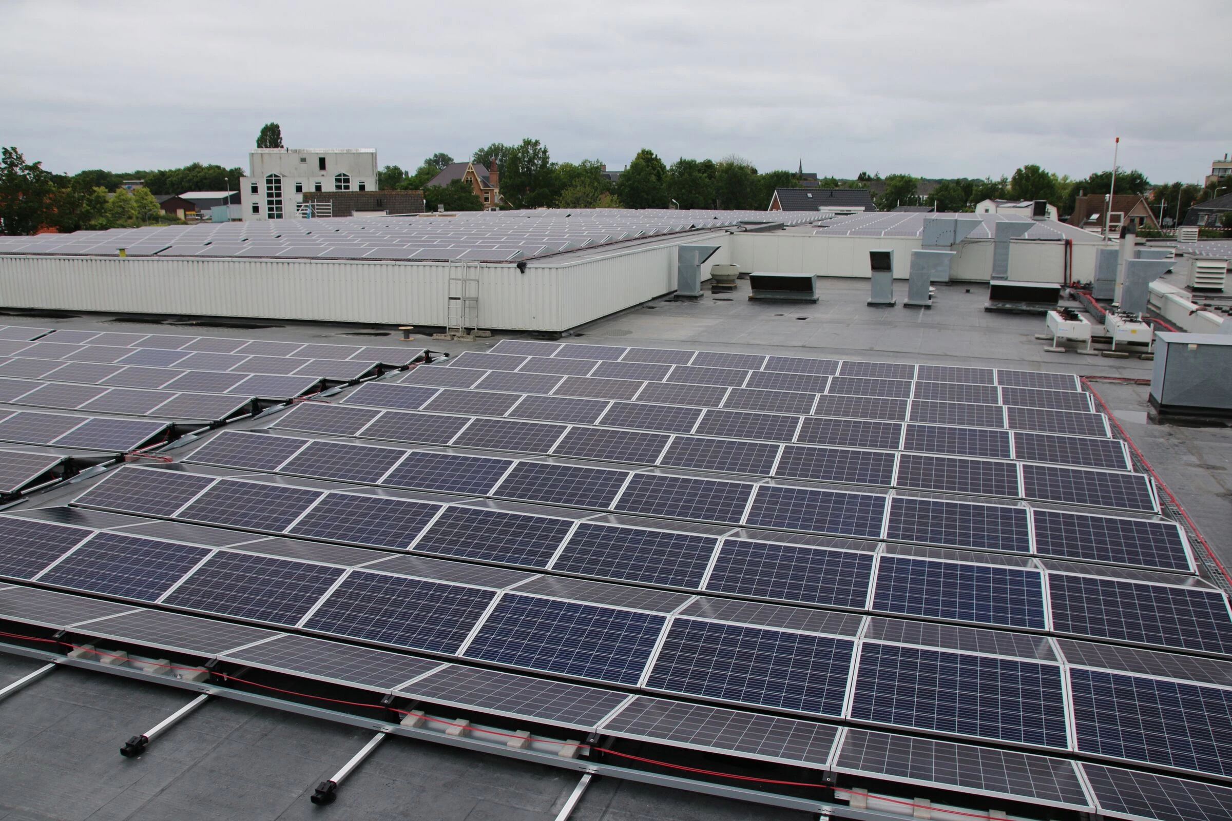 Royal De Ree Holland-17