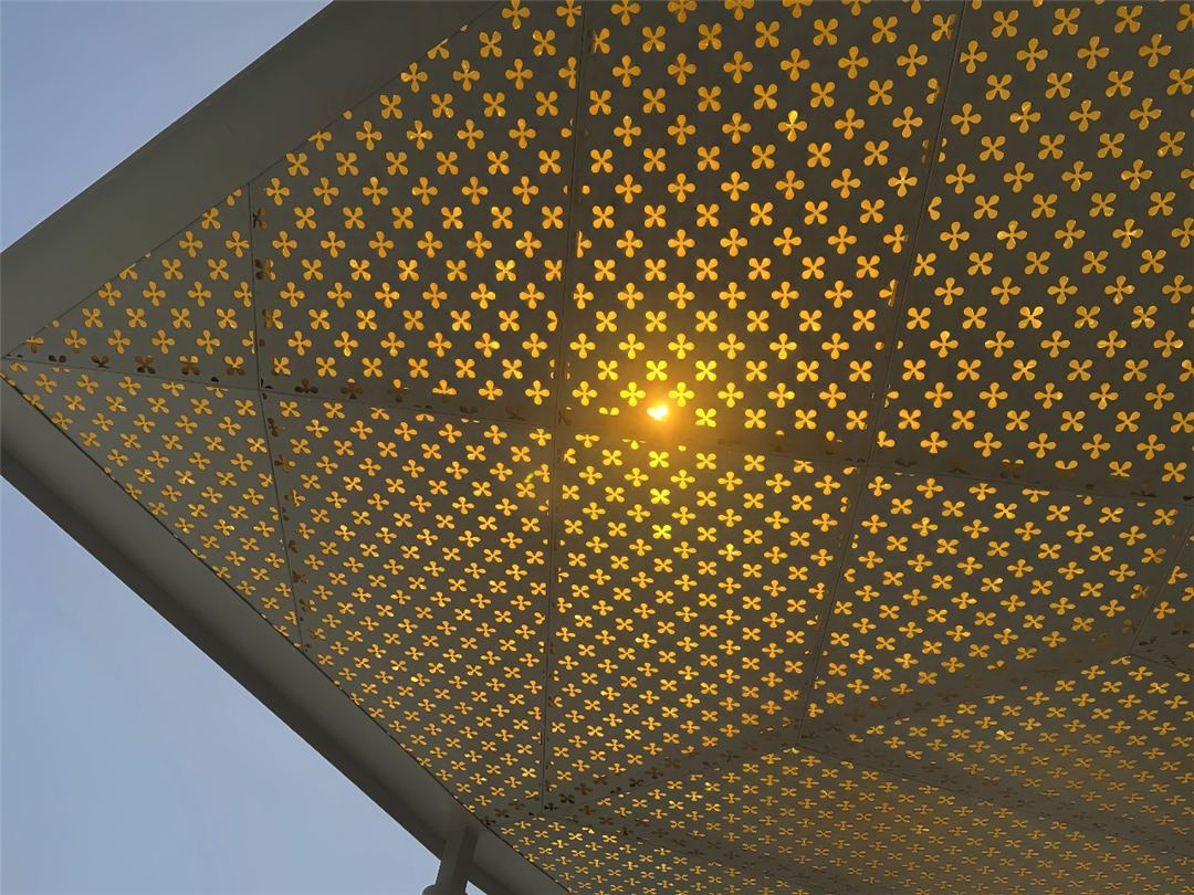 “15分钟美好生活圈”推窗见绿|华建集团环境院助力桂林公园地铁站绿地焕新-186