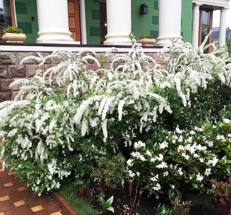 瓦尔迪斯·佩尔什住宅丨拉脱维亚里加丨瓦尔迪斯·佩尔什妻子(自学成才的设计师)-13