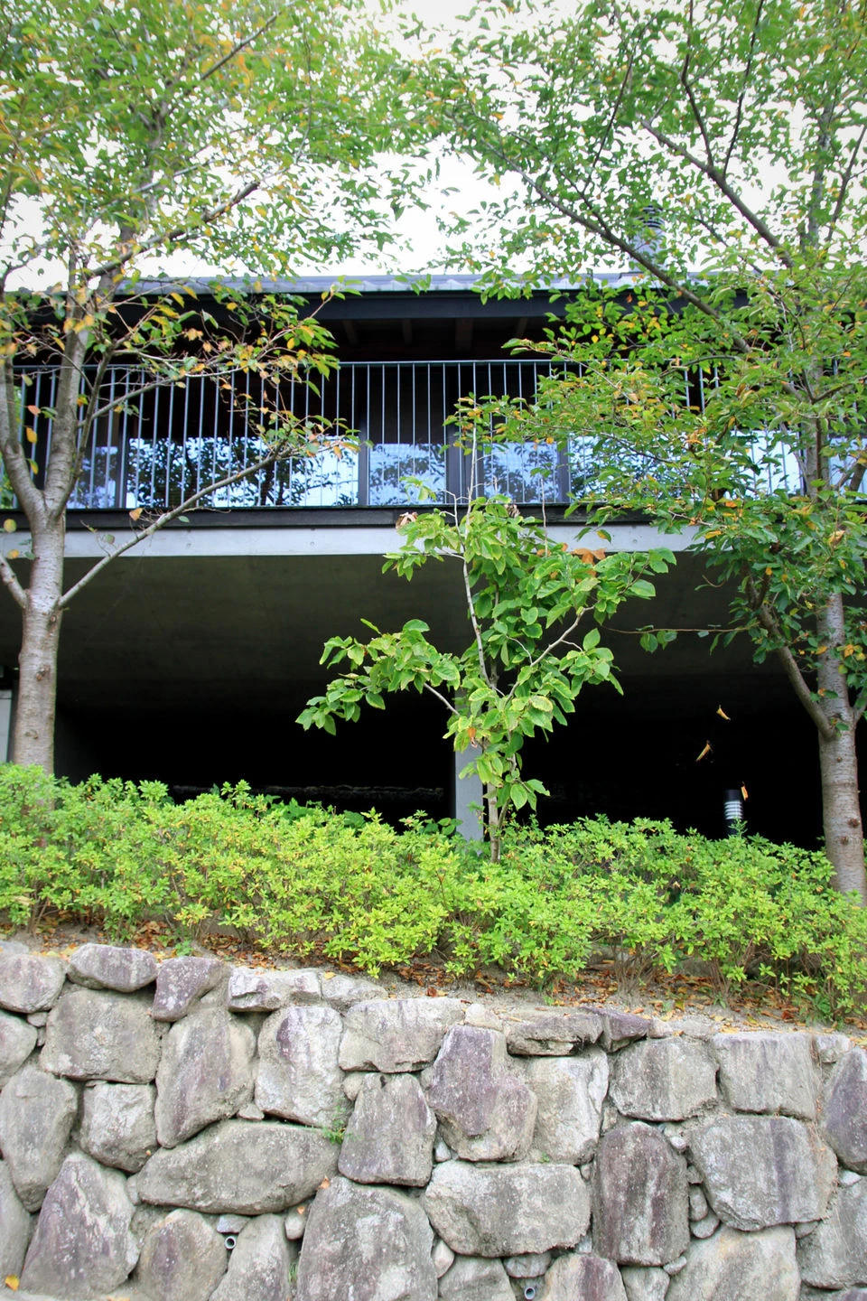 福冈 Raizan 山间别墅——连续弧形屋顶的观景胜地-13