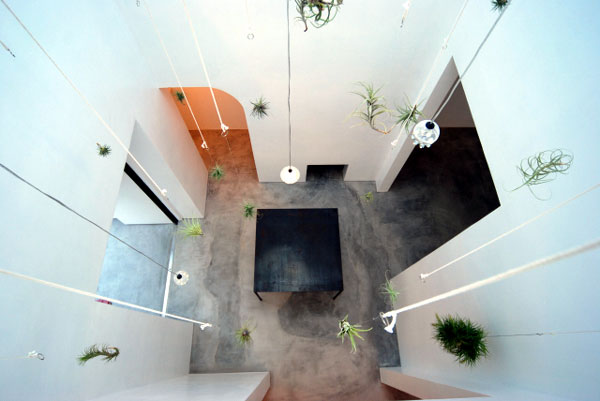 nanou #051 COGITE住宅丨日本千叶丨有限会社COGITE-15