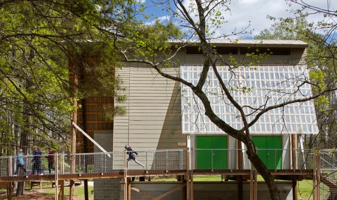 格雷厄姆营地 | 树屋冒险，自然与设计的完美融合-28