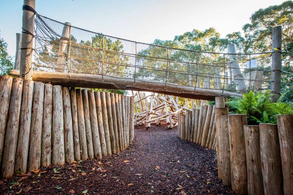 英国皇家植物园儿童花园丨Suzie Jewell-57