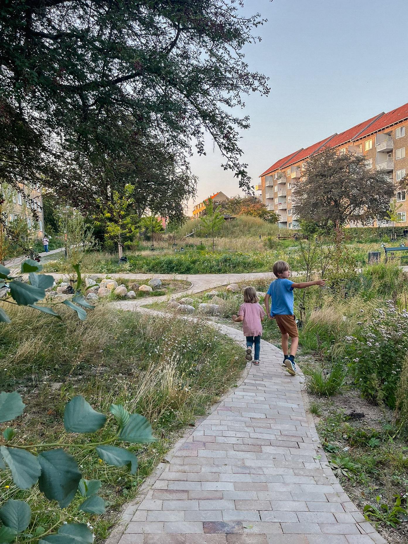 格罗宁根 比瑟公园丨丹麦哥本哈根丨SLA-6