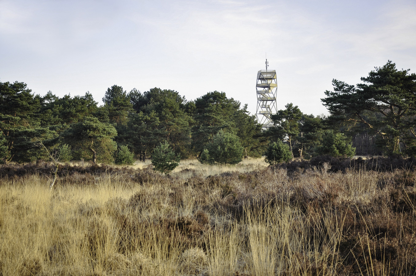 Brandtoren-0