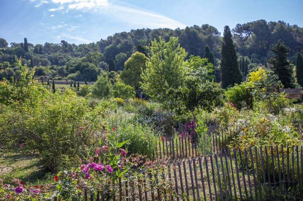 The Gardens of the International Perfumery Museum - France-13
