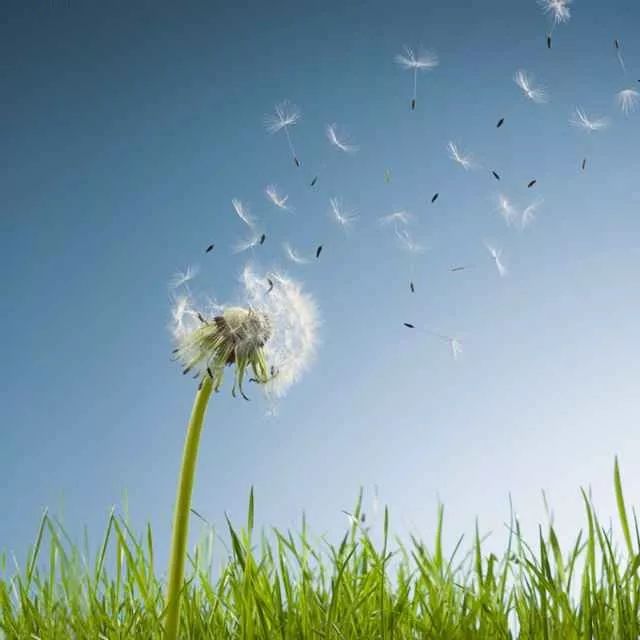 华浔教您避免装修陷阱，选对公司放心装-11