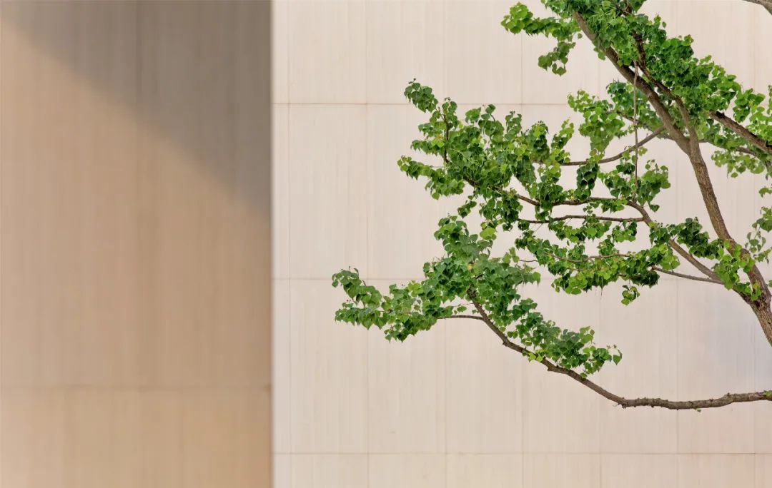 重庆万科璞园丨中国重庆丨WTD纬图设计-40