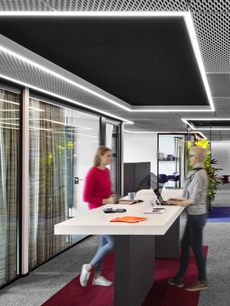 彩绘施瓦本文化,打造现代办公空间-59