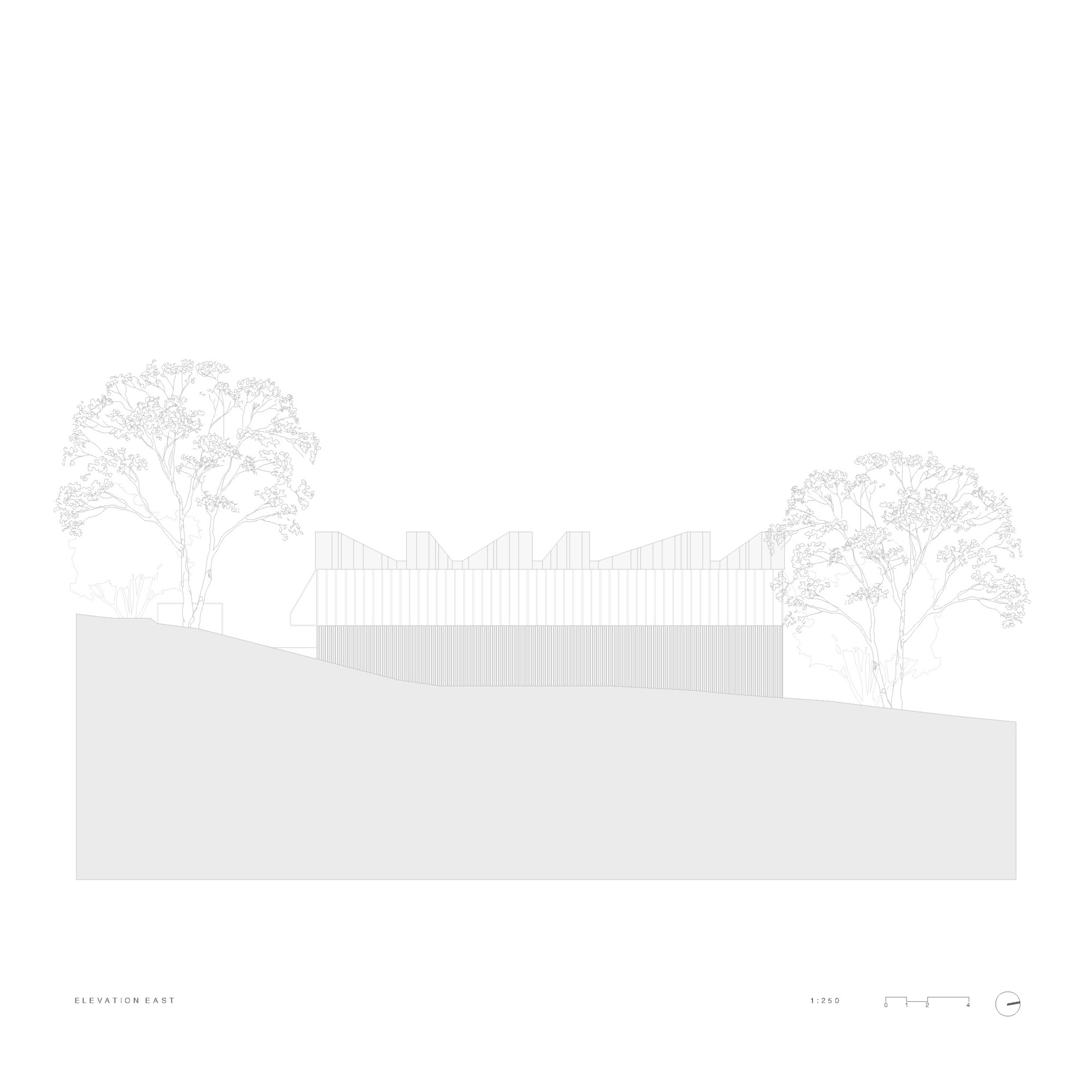 莱恩科夫住宅丨澳大利亚悉尼丨Lachlan Seegers Architect-31