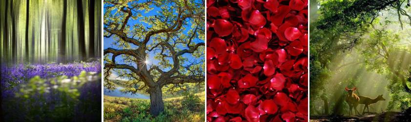 案例赏析 | 北京望京*新荟城-10