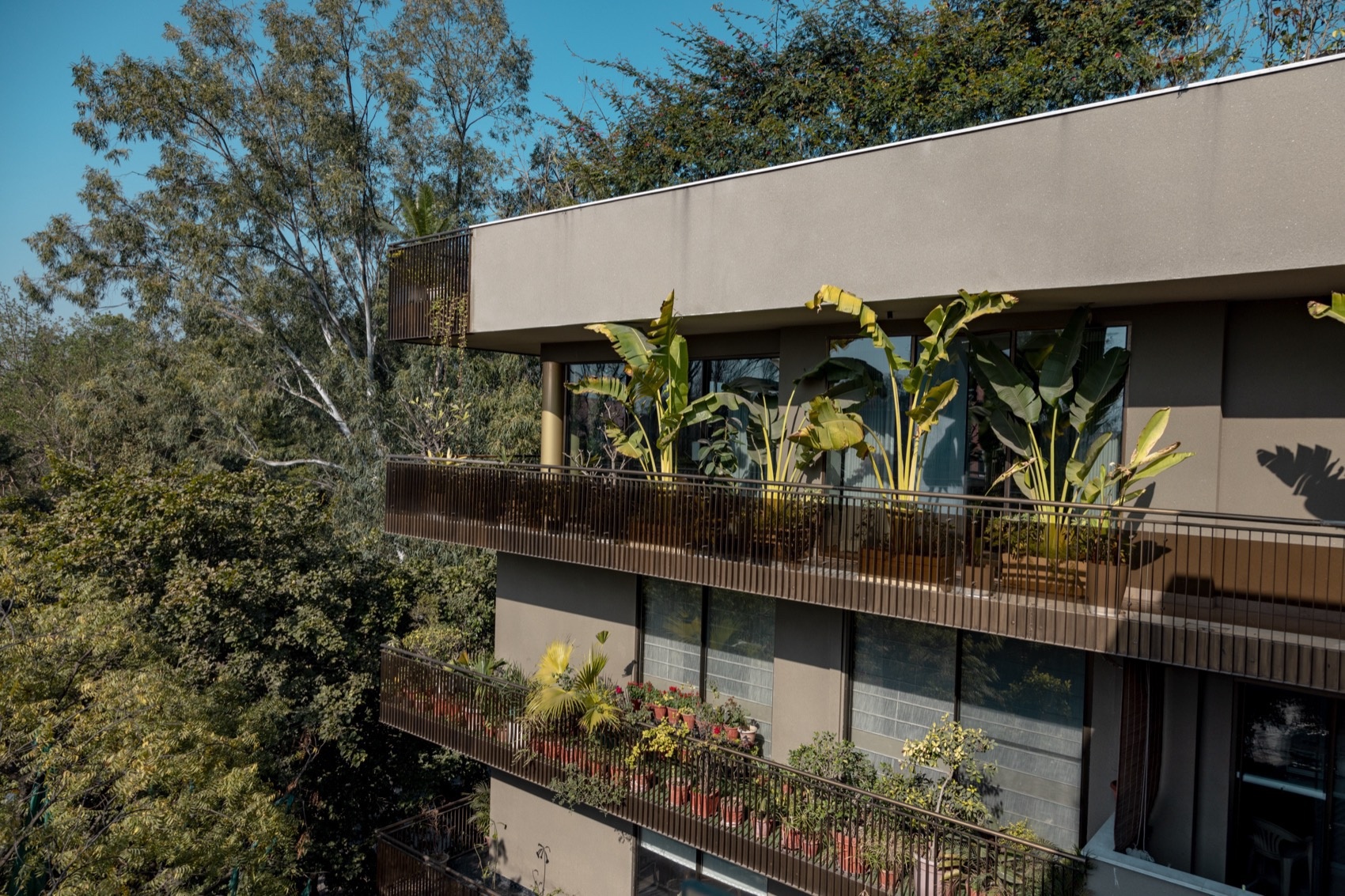 印度A45公寓丨印度新德里丨Architecture Discipline-5