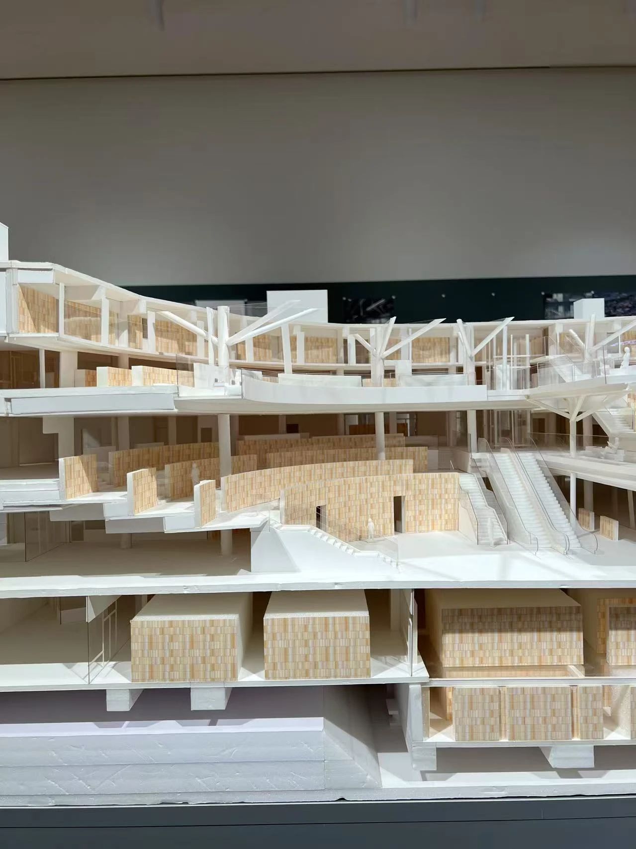 谷口吉郎·吉生纪念 金泽建筑馆丨日本丨谷口吉生-272