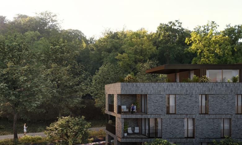 C+S Architects丨Urban regeneration of Panquin丨比利时-18