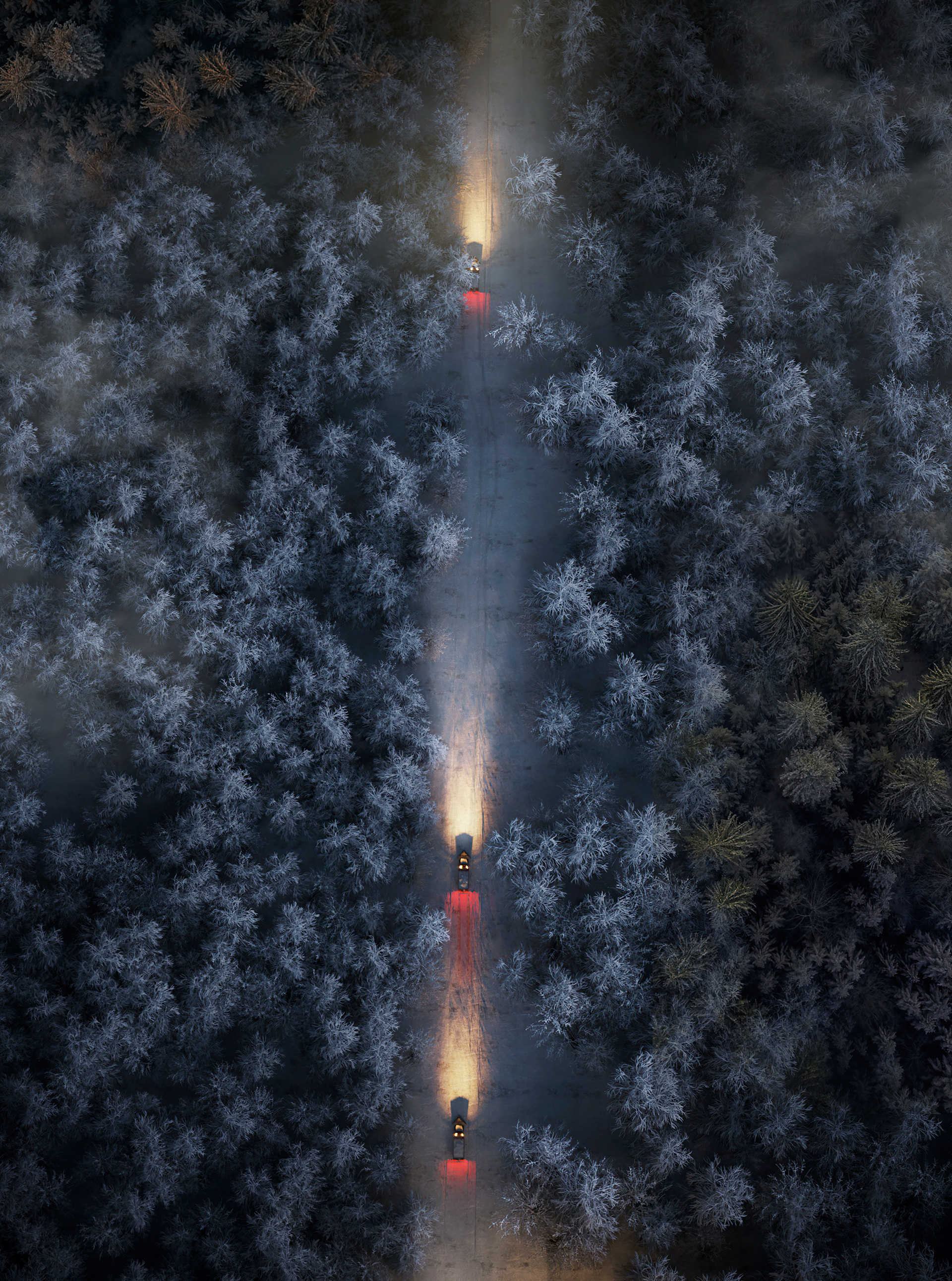 世界植物温室植物园丨俄罗斯丨CHANYSHEV ARCHITECT-6