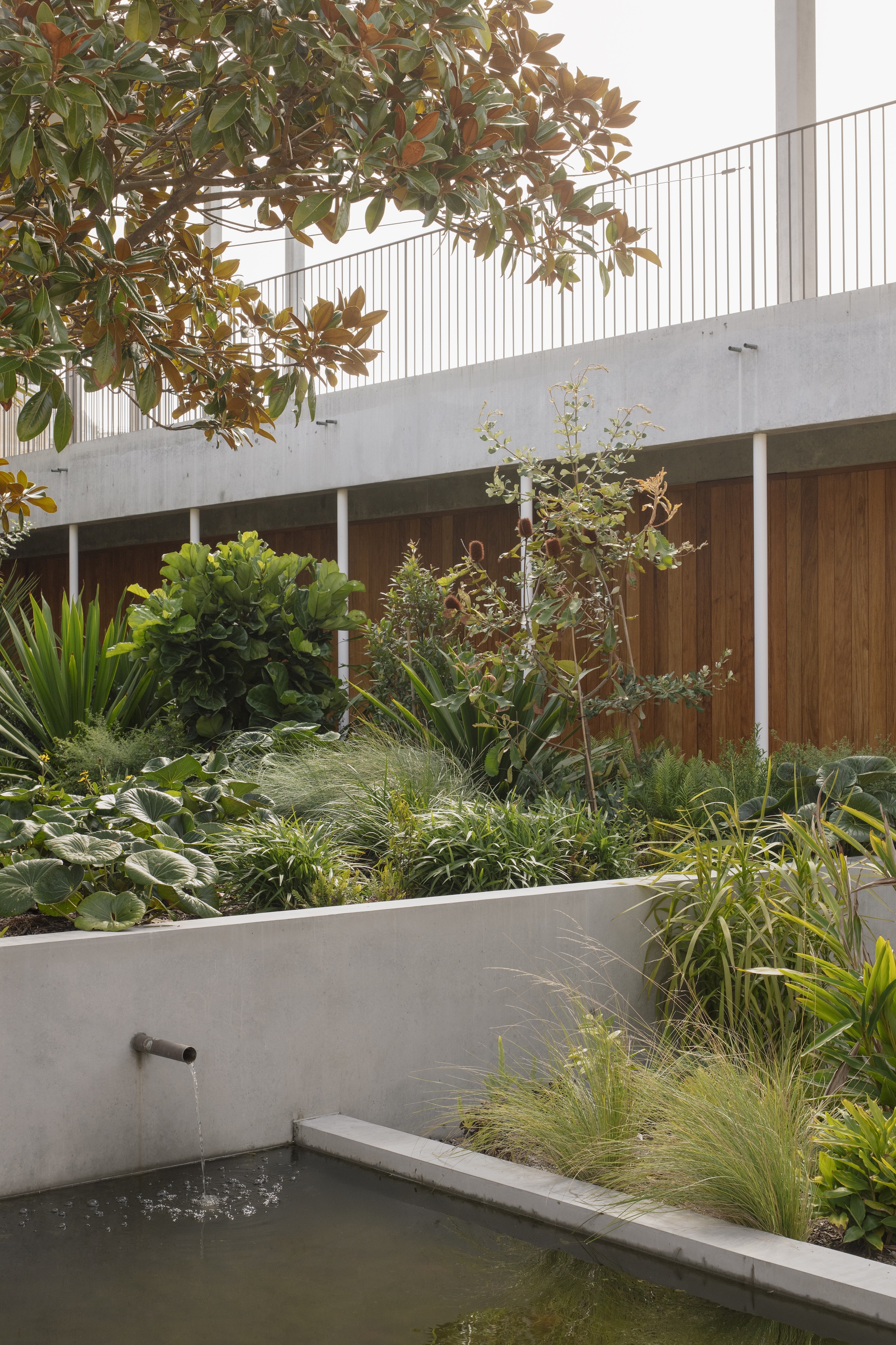 丨澳大利亚纽卡斯尔丨Anthony St John Parsons-41