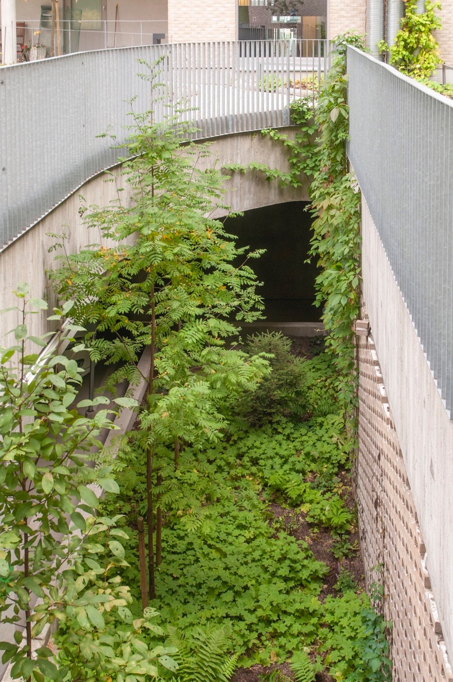 芬兰赫尔辛基绿色住宅区的生态设计探索-40