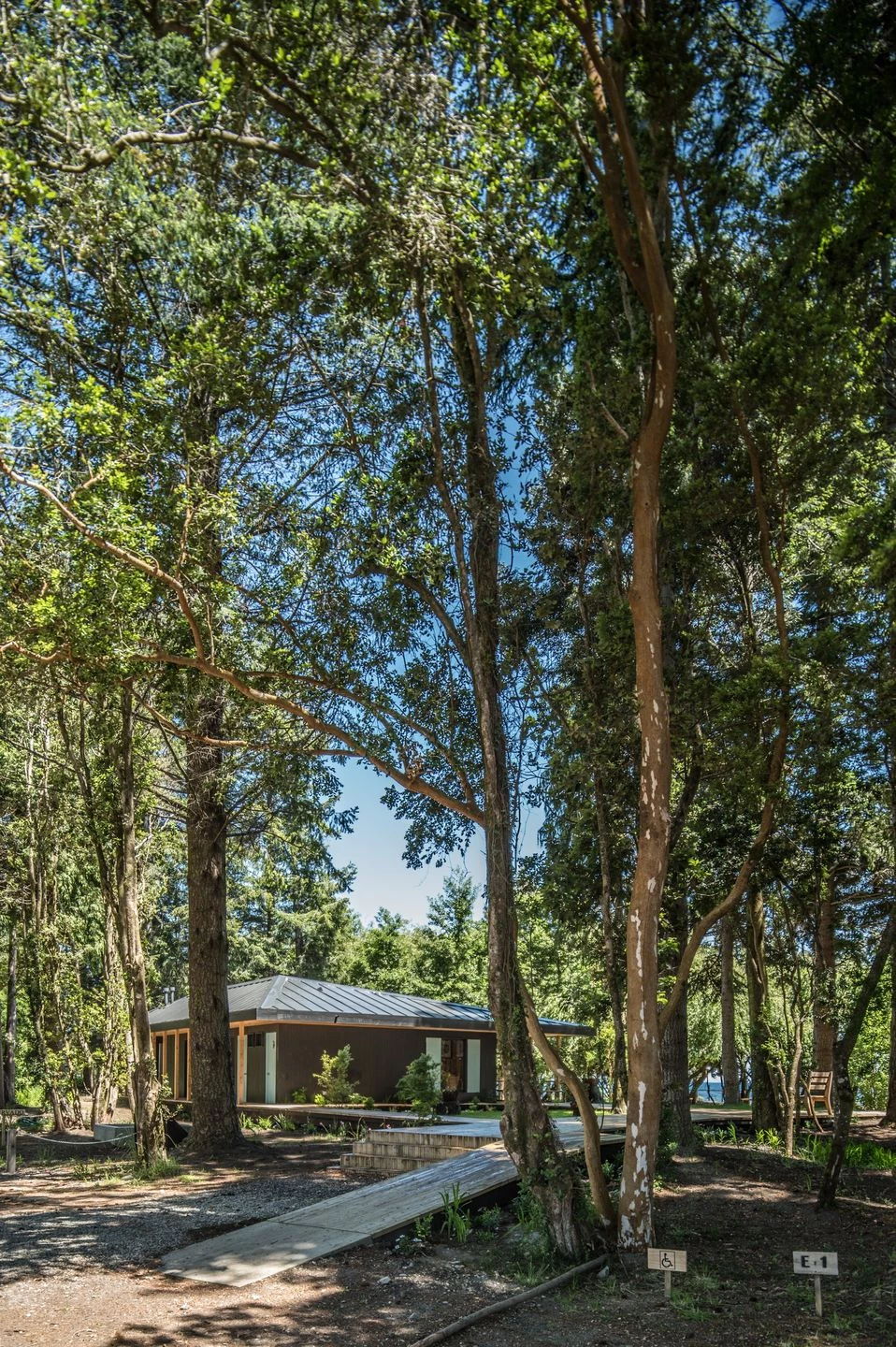 智利湖畔森林中的舒适用餐空间-22