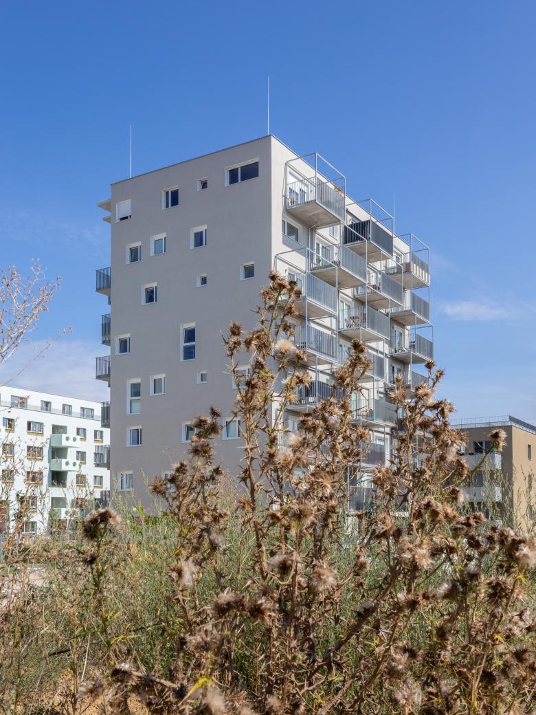 Caramel Architekten丨Mi(e)tgestalten Wildgarten丨奥地利-0