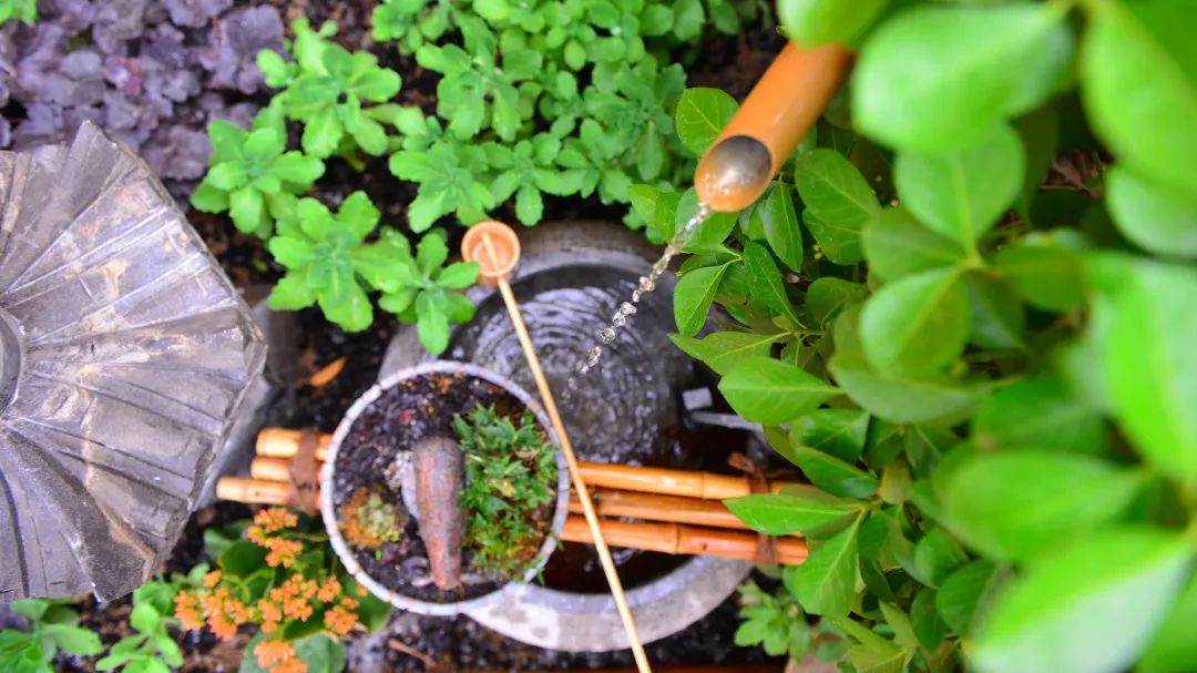 打造独特私家花园，体验简约宁静之美-31