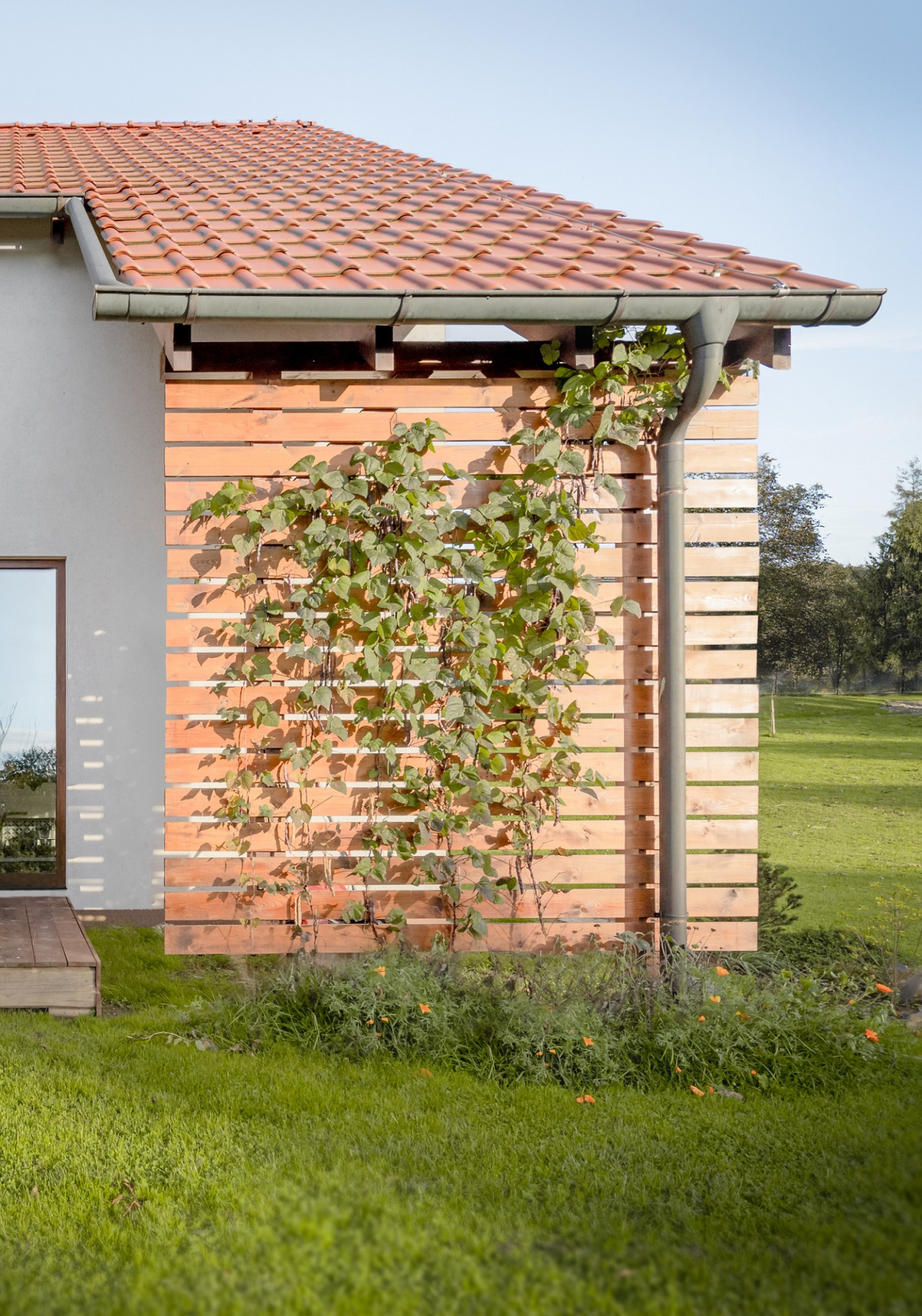 Poodří木质建筑住宅设计丨捷克丨Kateřina Škarková-19