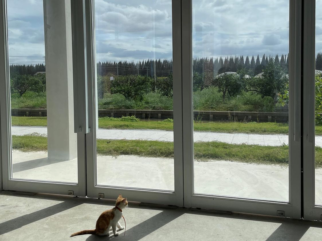 没顶艺术中心丨中国上海丨活络空间设计事务所-43