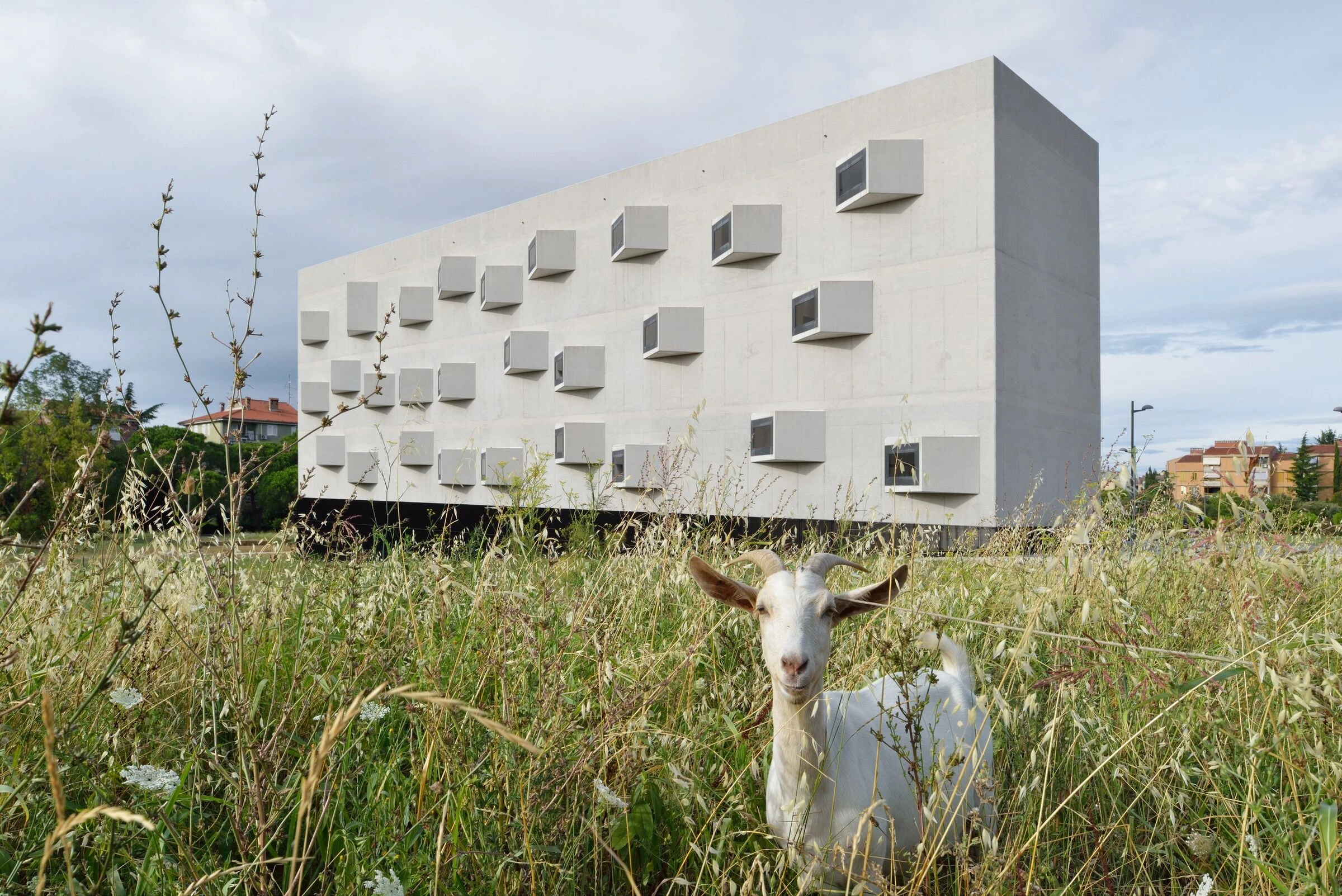 伊佐拉大学校园丨斯洛文尼亚丨Dekleva Gregoric Architects-22