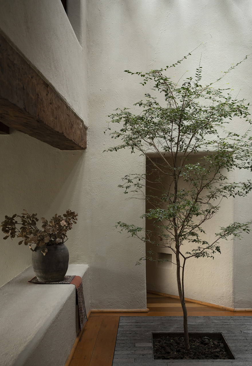 埃尔埃斯皮诺别墅景观丨墨西哥丨Dirección 设计工作室-54