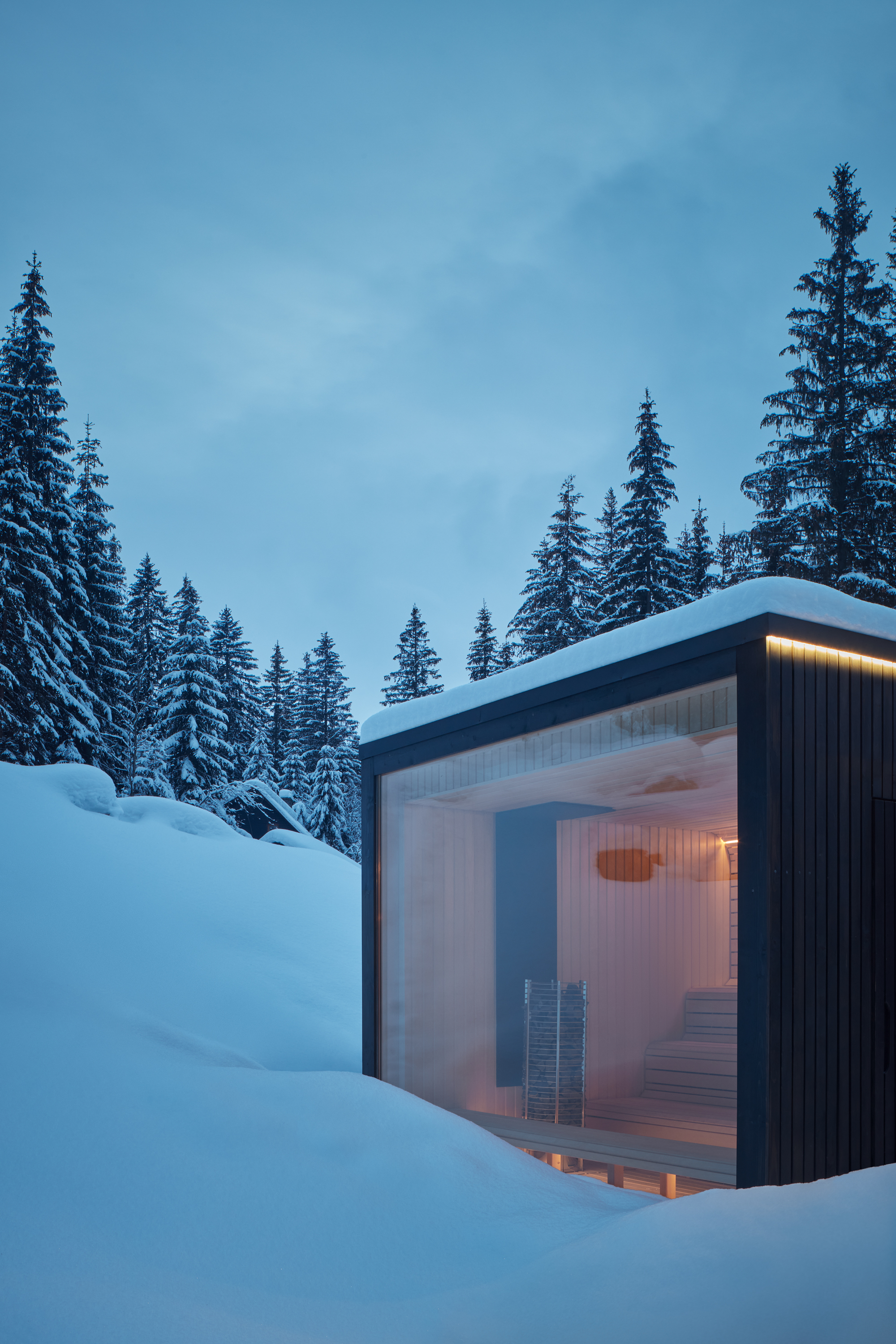 森林酒店 Bjornson 的双向公寓设计丨Arkshelter-39