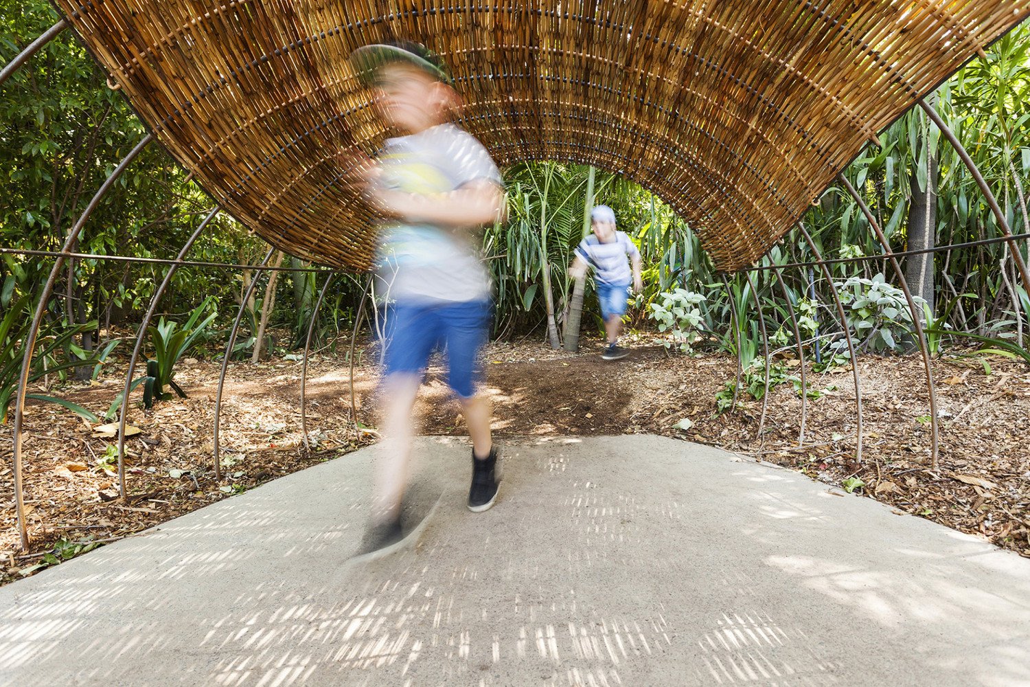 Lemur Exhibit   Snowdon Architects-31