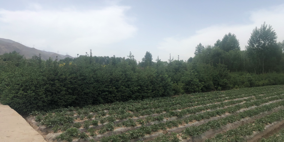 西宁万科城的美好生活场景，城市绿洲为西宁而定制 | 西宁·万科城一期-55