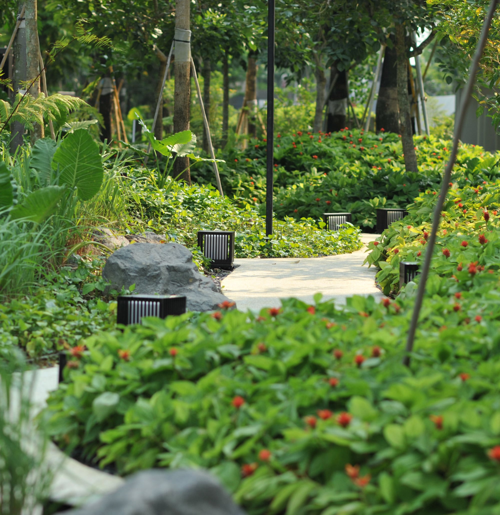 丽墩苑 | 新加坡豪宅的现代景观设计-16