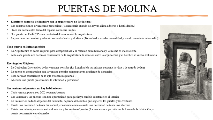 无尽的景色丨ANDREA WILLIAMSON CHAMÁS-9