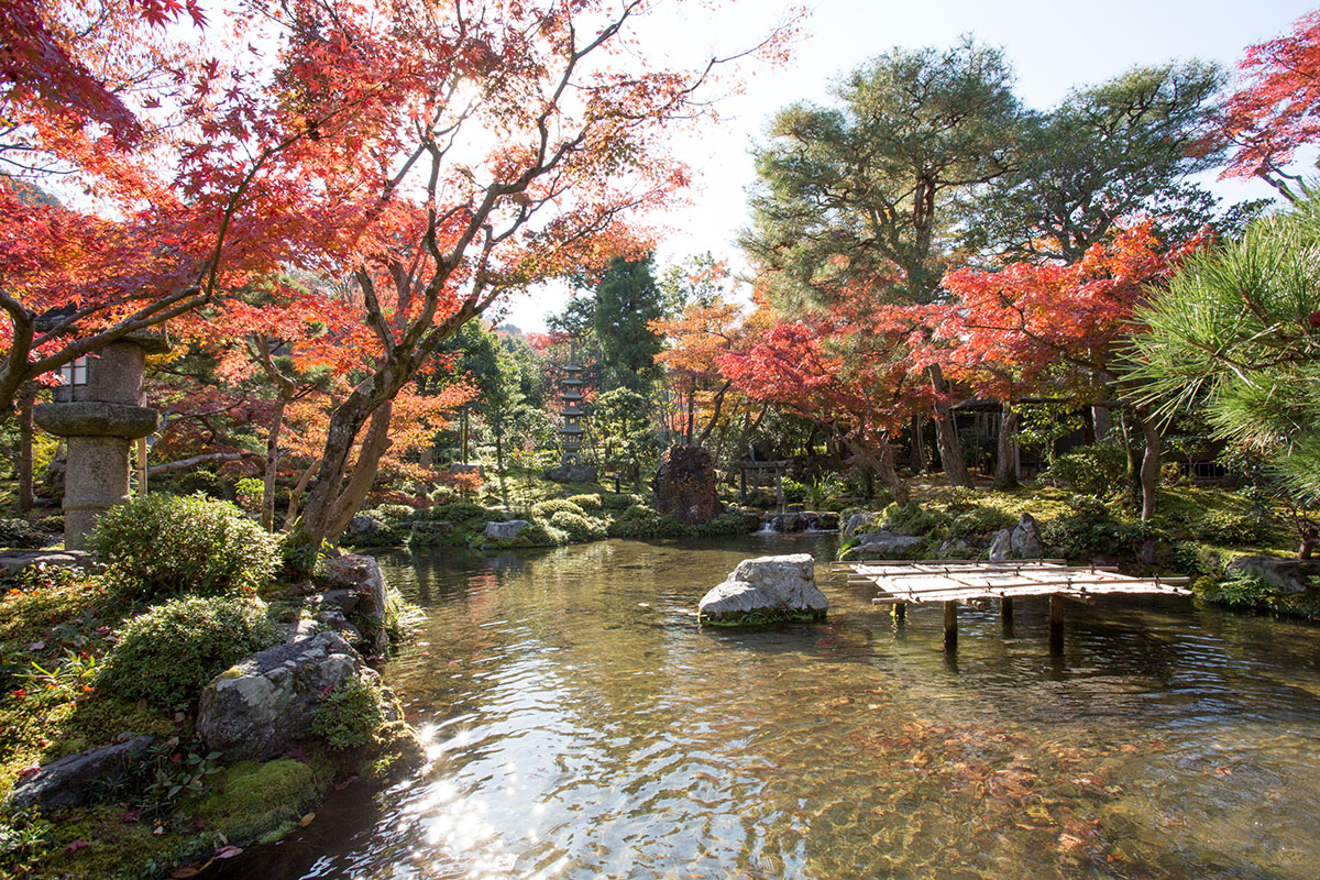 旧时气韵，现代延承 | 植彌加藤-74