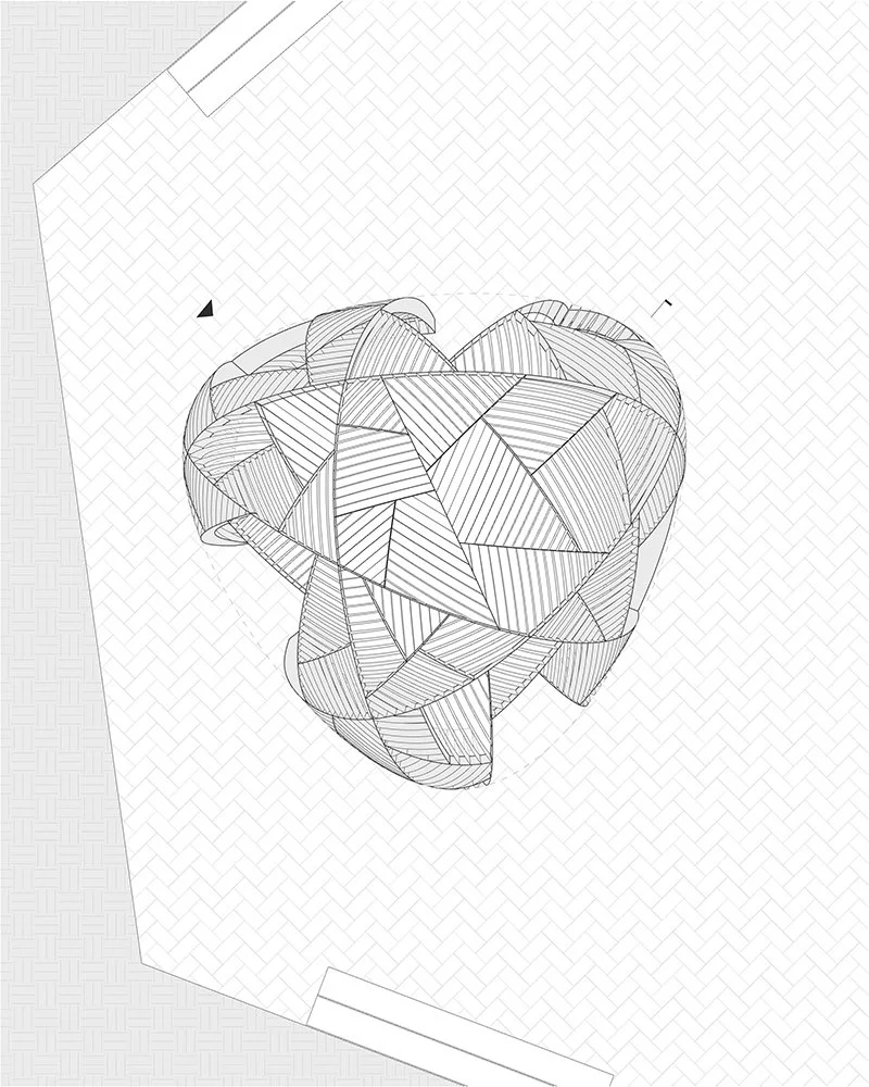 巴布尔·侯·德·索萨丨美国劳伦斯-10