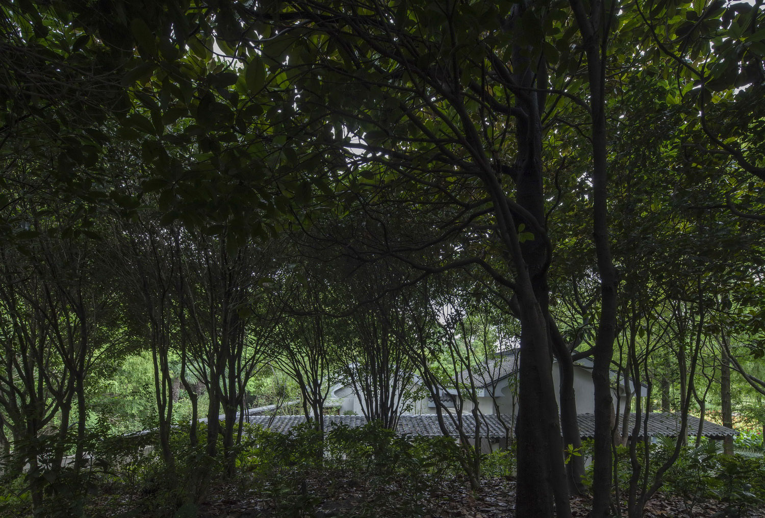 陈化成纪念馆移建改造,上海 / 阿科米星-10