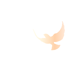 “最长”管线“最高”荣誉-11