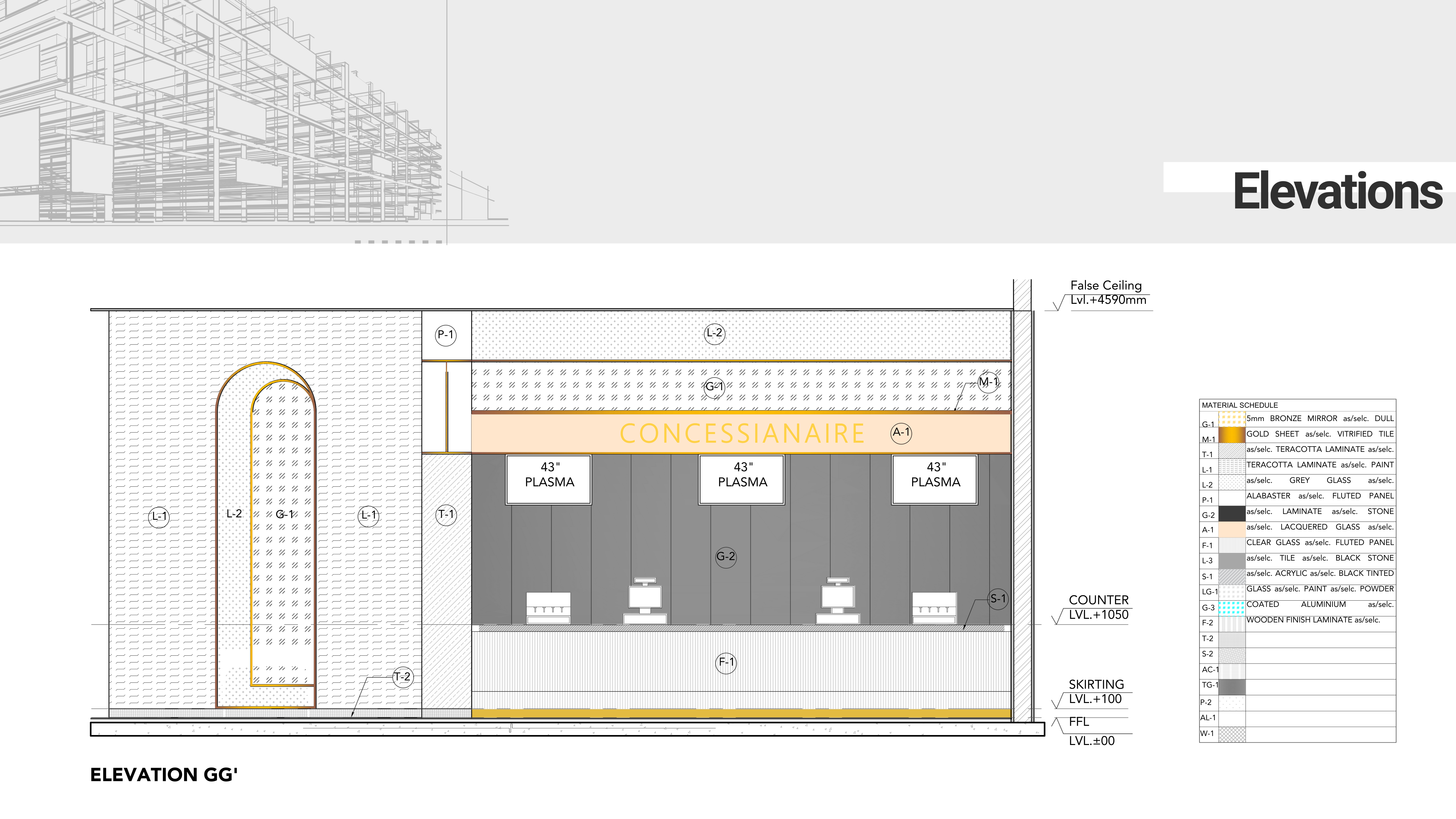 Professional Portfolio-21