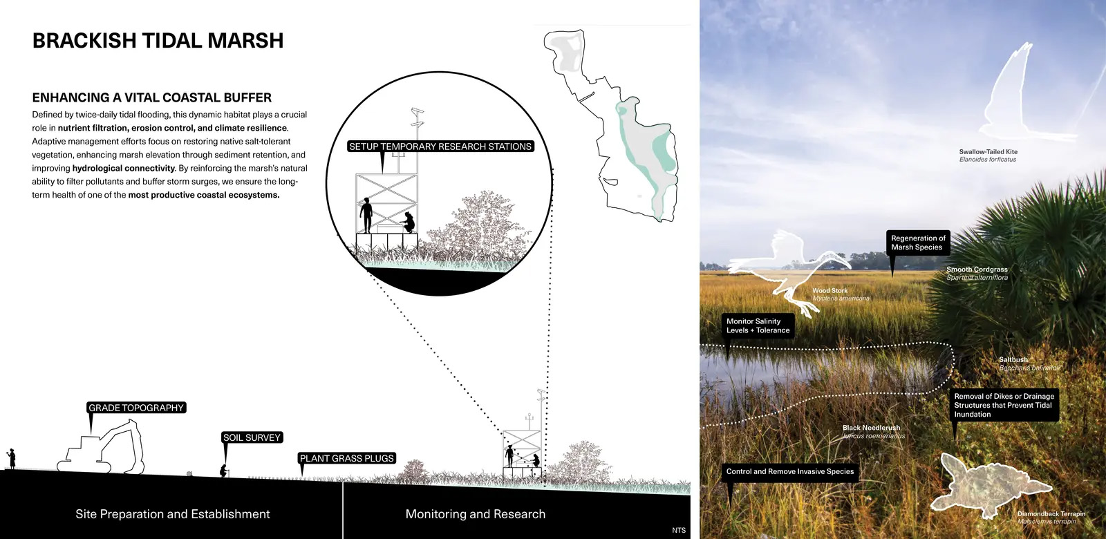 试验场:从高尔夫球场到屏障岛生态系统丨美国丨Design Workshop,Inc.-47
