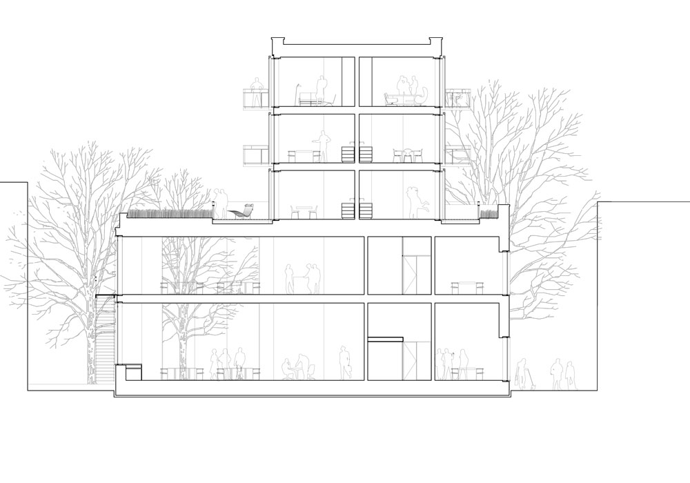 丨文中未提及-43