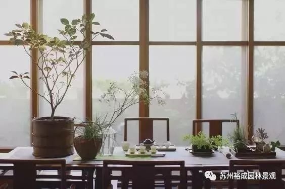 禅意屋顶花园,品茗抚琴如诗如画-31