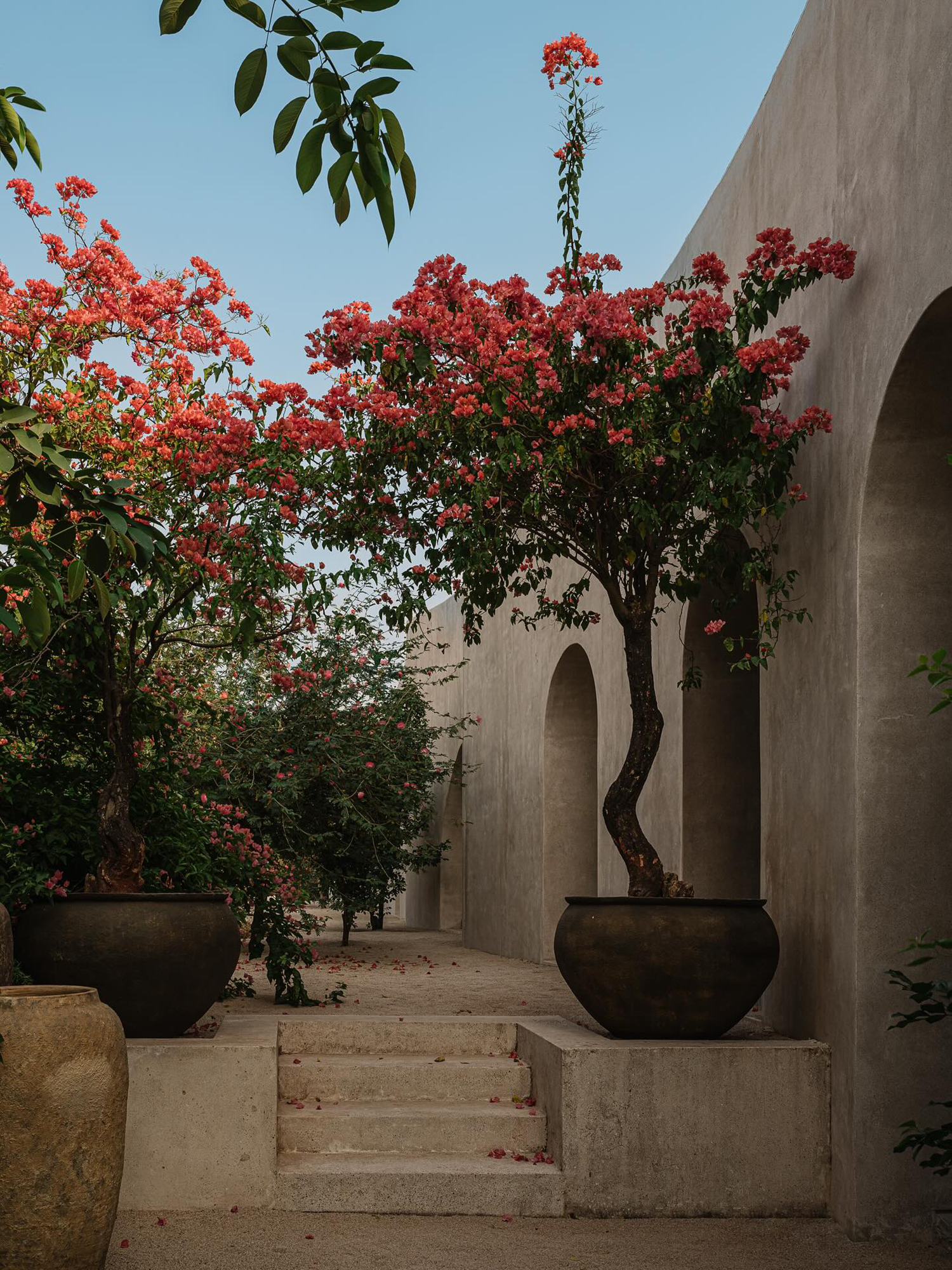 新作度假屋丨印度丨Architecture BRIO-46