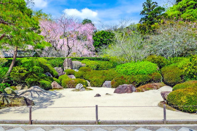 明月院庭园等景观丨日本神奈川-25